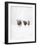 Oreos and Milk IV-Aledanda-Framed Art Print