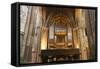 Organ, Hexham Abbey, Northumberland, 2010-Peter Thompson-Framed Stretched Canvas