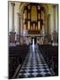 Organ in Christ Church Cathedral , Waterford City, Ireland-null-Mounted Photographic Print