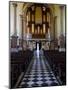 Organ in Christ Church Cathedral , Waterford City, Ireland-null-Mounted Photographic Print