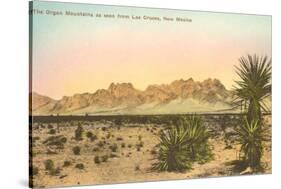 Organ Mountains, Las Cruces, New Mexico-null-Stretched Canvas