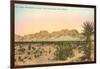 Organ Mountains, Las Cruces, New Mexico-null-Framed Art Print