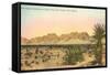 Organ Mountains, Las Cruces, New Mexico-null-Framed Stretched Canvas