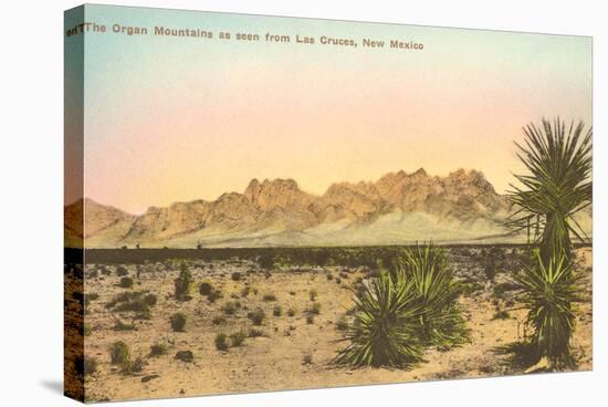 Organ Mountains, Las Cruces, New Mexico-null-Stretched Canvas