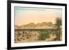 Organ Mountains, Las Cruces, New Mexico-null-Framed Premium Giclee Print