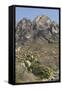 Organ Mountains Wilderness Rising Above Chihuahuan Desert Landscape, Southern New Mexico-null-Framed Stretched Canvas