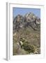 Organ Mountains Wilderness Rising Above Chihuahuan Desert Landscape, Southern New Mexico-null-Framed Photographic Print