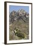 Organ Mountains Wilderness Rising Above Chihuahuan Desert Landscape, Southern New Mexico-null-Framed Photographic Print