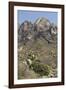 Organ Mountains Wilderness Rising Above Chihuahuan Desert Landscape, Southern New Mexico-null-Framed Photographic Print
