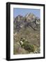 Organ Mountains Wilderness Rising Above Chihuahuan Desert Landscape, Southern New Mexico-null-Framed Photographic Print