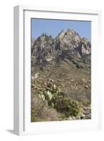 Organ Mountains Wilderness Rising Above Chihuahuan Desert Landscape, Southern New Mexico-null-Framed Photographic Print