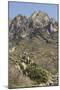 Organ Mountains Wilderness Rising Above Chihuahuan Desert Landscape, Southern New Mexico-null-Mounted Photographic Print