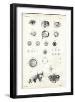 Organ of Seeing, 1863-79-Raimundo Petraroja-Framed Giclee Print