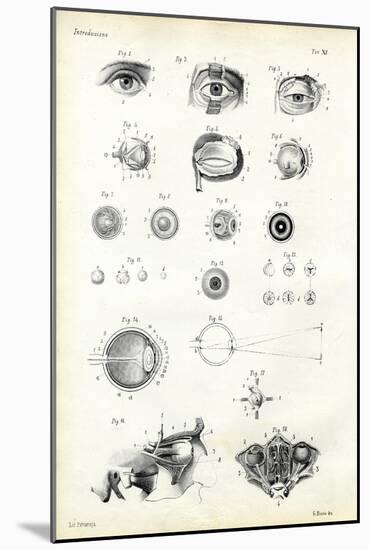 Organ of Seeing, 1863-79-Raimundo Petraroja-Mounted Giclee Print