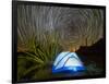 Organ pipe cactus at night with Geminid Meteor Shower, Organ Pipe Cactus National Monument, Arizona-Michael Nolan-Framed Photographic Print