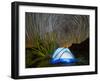 Organ pipe cactus at night with Geminid Meteor Shower, Organ Pipe Cactus National Monument, Arizona-Michael Nolan-Framed Photographic Print