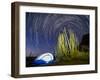 Organ pipe cactus at night with Geminid Meteor Shower, Organ Pipe Cactus National Monument, Arizona-Michael Nolan-Framed Photographic Print