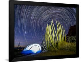 Organ pipe cactus at night with Geminid Meteor Shower, Organ Pipe Cactus National Monument, Arizona-Michael Nolan-Framed Photographic Print