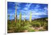 Organ Pipe Cactus National Monument, Ajo Mountain Drive in the Desert-Richard Wright-Framed Premium Photographic Print