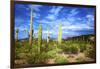 Organ Pipe Cactus National Monument, Ajo Mountain Drive in the Desert-Richard Wright-Framed Premium Photographic Print