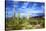 Organ Pipe Cactus National Monument, Ajo Mountain Drive in the Desert-Richard Wright-Stretched Canvas