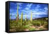 Organ Pipe Cactus National Monument, Ajo Mountain Drive in the Desert-Richard Wright-Framed Stretched Canvas