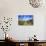 Organ Pipe Cactus National Monument, Ajo Mountain Drive in the Desert-Richard Wright-Photographic Print displayed on a wall