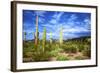 Organ Pipe Cactus National Monument, Ajo Mountain Drive in the Desert-Richard Wright-Framed Photographic Print