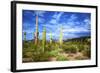 Organ Pipe Cactus National Monument, Ajo Mountain Drive in the Desert-Richard Wright-Framed Photographic Print