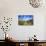 Organ Pipe Cactus National Monument, Ajo Mountain Drive in the Desert-Richard Wright-Mounted Photographic Print displayed on a wall