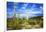 Organ Pipe Cactus National Monument, Ajo Mountain Drive in the Desert-Richard Wright-Framed Photographic Print