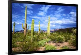 Organ Pipe Cactus National Monument, Ajo Mountain Drive in the Desert-Richard Wright-Framed Photographic Print