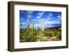 Organ Pipe Cactus National Monument, Ajo Mountain Drive in the Desert-Richard Wright-Framed Photographic Print