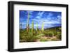 Organ Pipe Cactus National Monument, Ajo Mountain Drive in the Desert-Richard Wright-Framed Photographic Print