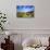 Organ Pipe Cactus National Monument, Ajo Mountain Drive in the Desert-Richard Wright-Photographic Print displayed on a wall