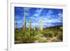 Organ Pipe Cactus National Monument, Ajo Mountain Drive in the Desert-Richard Wright-Framed Photographic Print