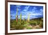 Organ Pipe Cactus National Monument, Ajo Mountain Drive in the Desert-Richard Wright-Framed Photographic Print