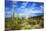 Organ Pipe Cactus National Monument, Ajo Mountain Drive in the Desert-Richard Wright-Mounted Photographic Print