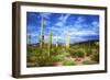 Organ Pipe Cactus National Monument, Ajo Mountain Drive in the Desert-Richard Wright-Framed Photographic Print