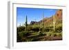 Organ Pipe Cactus National Monument, Ajo Mountain Drive in the Desert-Richard Wright-Framed Photographic Print