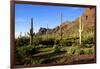 Organ Pipe Cactus National Monument, Ajo Mountain Drive in the Desert-Richard Wright-Framed Photographic Print