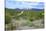 Organ Pipe Cactus National Monument, Ajo Mountain Drive in the Desert-Richard Wright-Stretched Canvas