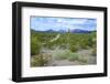 Organ Pipe Cactus National Monument, Ajo Mountain Drive in the Desert-Richard Wright-Framed Photographic Print