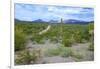 Organ Pipe Cactus National Monument, Ajo Mountain Drive in the Desert-Richard Wright-Framed Photographic Print