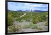 Organ Pipe Cactus National Monument, Ajo Mountain Drive in the Desert-Richard Wright-Framed Photographic Print