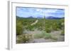 Organ Pipe Cactus National Monument, Ajo Mountain Drive in the Desert-Richard Wright-Framed Photographic Print