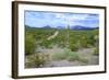 Organ Pipe Cactus National Monument, Ajo Mountain Drive in the Desert-Richard Wright-Framed Photographic Print