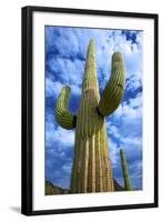 Organ Pipe Cactus National Monument, Ajo Mountain Drive in the Desert-Richard Wright-Framed Photographic Print