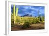 Organ Pipe Cactus National Monument, Ajo Mountain Drive in the Desert-Richard Wright-Framed Photographic Print