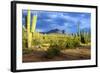 Organ Pipe Cactus National Monument, Ajo Mountain Drive in the Desert-Richard Wright-Framed Photographic Print